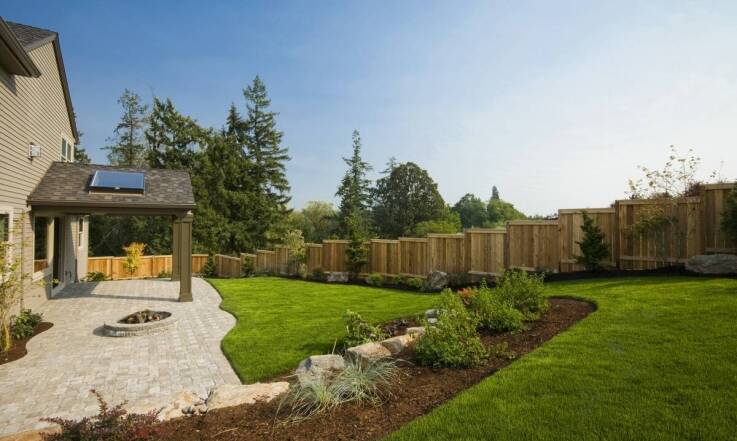 Sadzonki buk – ich dekoracyjna wartość w przestrzeniach rekreacyjnych