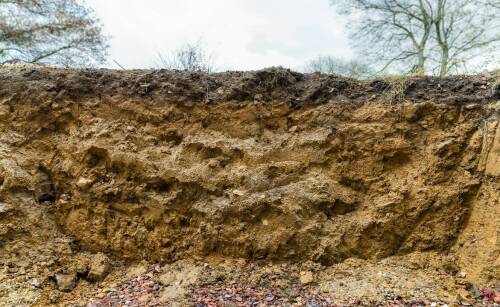 Jak palisady z kostki brukowej mogą pomóc w ochronie przed erozją gleby?