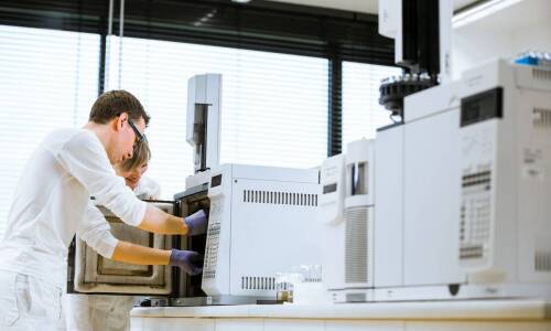 Rola badań laboratoryjnych w kontroli jakości biomasy
