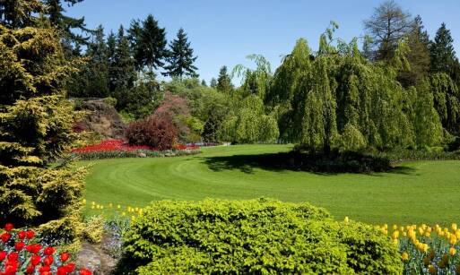 Jak projekty nasadzeń roślin mogą poprawić mikroklimat ogrodu?
