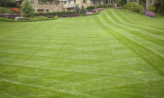 Jak dostosować proces regeneracji trawnika do specyficznych warunków ogrodu?