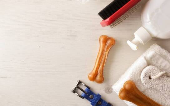 Dlaczego właściciele psów coraz częściej wybierają ekologiczne puszki Bufi?