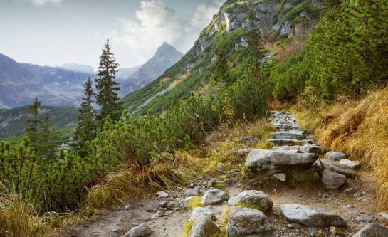 Co warto zobaczyć z dziećmi w Bieszczadach?