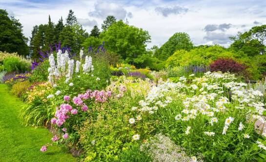 Kiedy najlepiej jechać na wyspę Mainau?