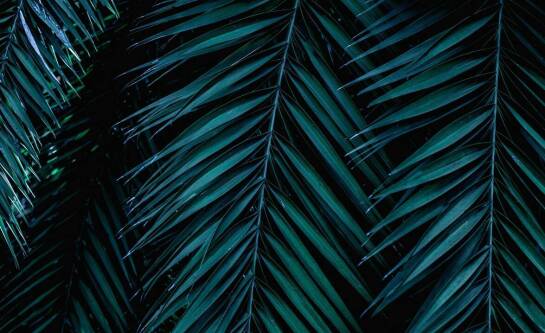 Gdzie warto wybrać się z dzieckiem w Wielkopolsce?