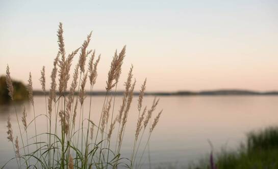 Jak dojechać z Bergamo nad jezioro Como?