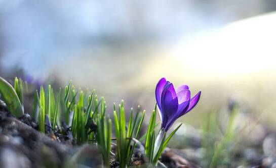 Jakiej firmy buty trekkingowe warto wybrać?