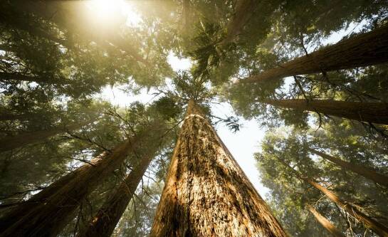 Jaki camping na Mazurach warto wybrać?