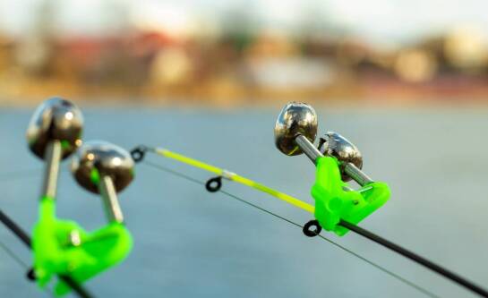 Czy nad morzem można łowić ryby?