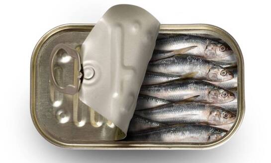 Czym są przetwory rybne?