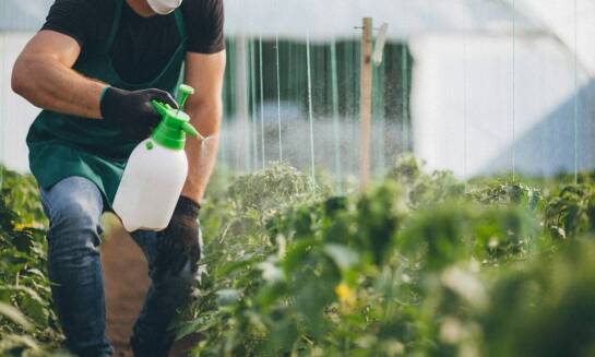 Jakie opryski są najskuteczniejsze w walce ze szkodnikami ogrodowymi?