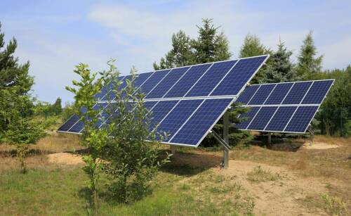 Nowoczesne technologie w pozyskiwaniu biomasy po wycince drzew