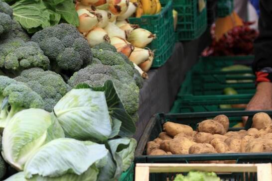 Znaczenie testów fitosanitarnych w produkcji warzyw: perspektywa dolnośląska