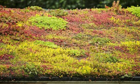 Jakie są korzyści z zastosowania systemów rynnowych w budownictwie ekologicznym?