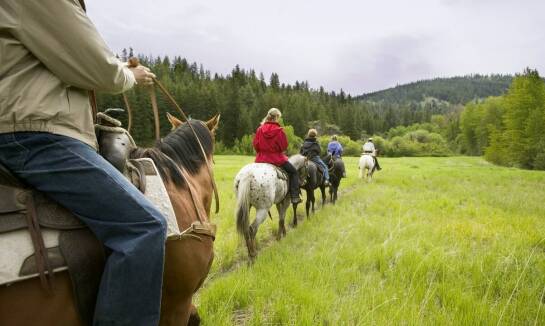 Hotel Ustrzyki Dolne: Oferta dla miłośników jazdy konnej