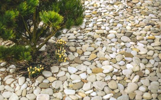 Rola kamienia drenarskiego w tworzeniu ekologicznych nawierzchni