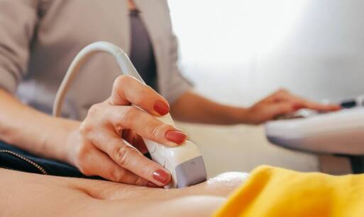 Które organy są badane w trakcie USG jamy brzusznej?