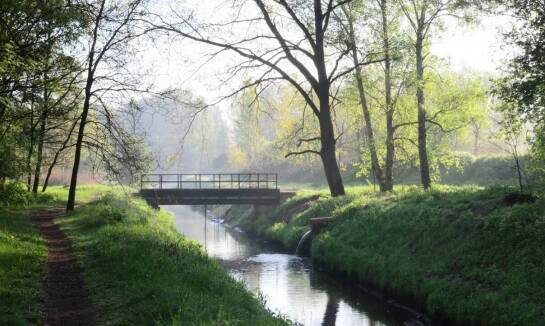 Kompleksowe usługi melioracyjne: co obejmują i jakie przynoszą korzyści?