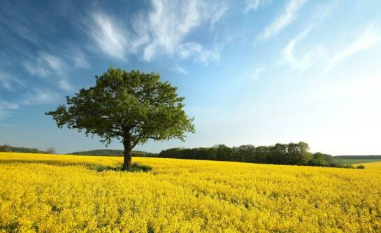 Zakopane wiosną co warto zobaczyć