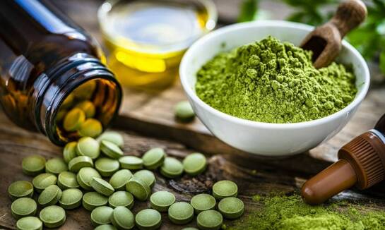 Znaczenie aminokwasów w diecie gołębia