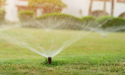 System automatycznego nawadniania ogrodu: komfort i oszczędność czasu