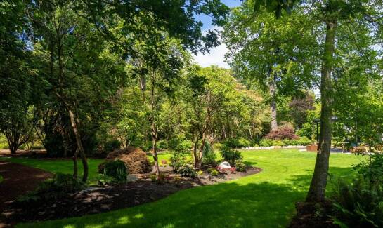 Drzewa i krzewy ozdobne – Sequoia Centrum Ogrodnicze