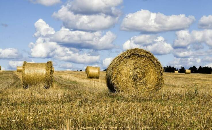 Niskie koszty instalacji i konserwacji brykieciarek do słomy – co to oznacza dla firm?