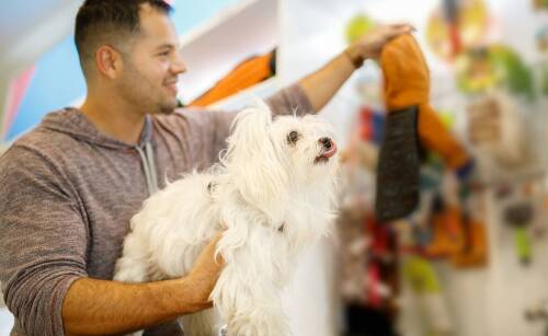 Całodobowa opieka nad chorymi psami w hotelu dla psów Warszawa