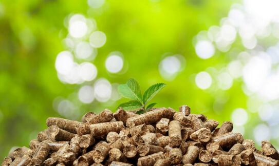 Zalety pieca na pellet w nowoczesnym systemie grzewczym