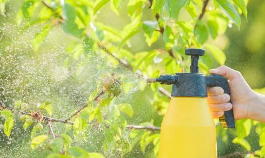 Optymalizacja pracy w ogrodzie dzięki opryskiwaczowi ciśnieniowemu ręcznemu