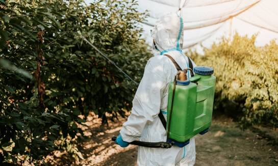 Jakie są najlepsze praktyki stosowania insektycydów systemicznych?