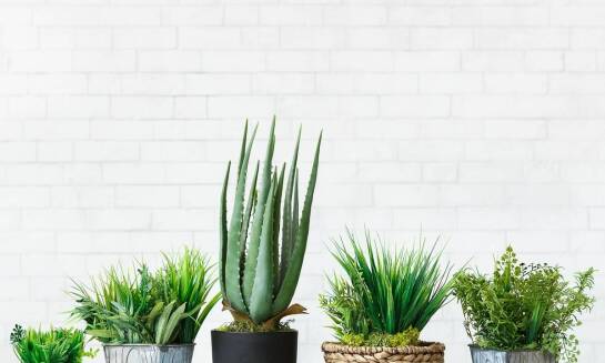 Jakie są ekologiczne aspekty wyboru doniczek drewnianych do ogrodu?