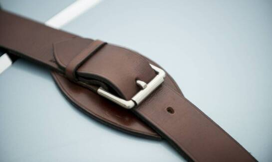 Jakie szelki step-in wybrać dla psa o dużej aktywności?