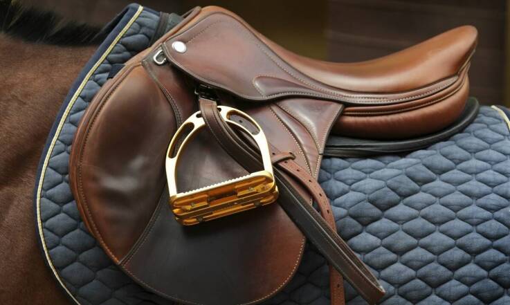 Różnorodność oferty koni skokowych: jak znaleźć idealnego partnera do sportu?