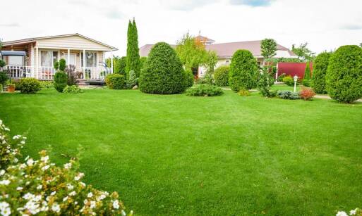 Jakie etapy obejmuje proces zakładania trawników w ogrodach przydomowych?