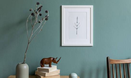 Ramki na plakaty - jak wybrać najlepsze akcesoria wystawiennicze?