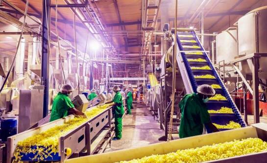 Innowacyjne rozwiązania w krojowniach - jak poprawiają jakość wykrojów?