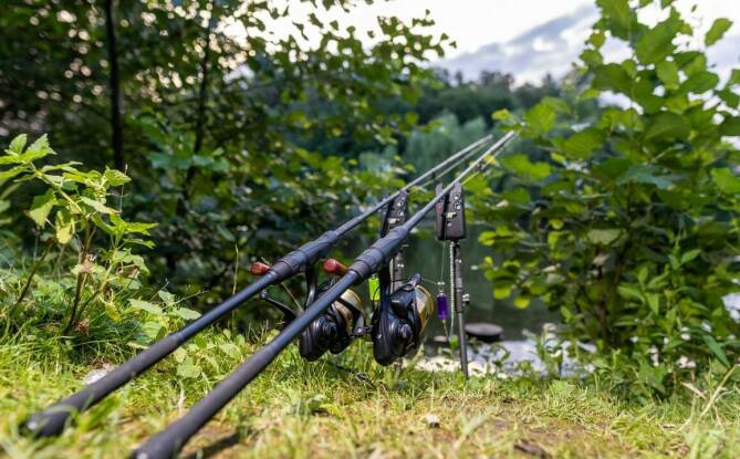 Elektronika wędkarska – jak wybrać najlepszy sprzęt dla karpiarzy?