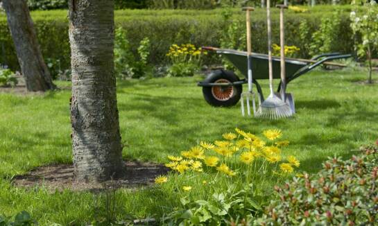 Najlepsze praktyki przy przygotowaniu podłoża pod trawę z rolki