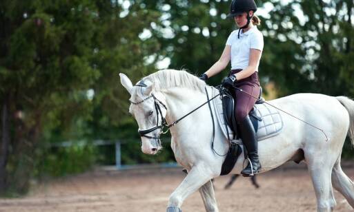 Specyfika niemieckiego kuca wierzchowego w treningach skokowych
