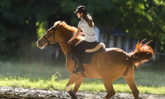 Zalety wyboru noclegów Pegaz dla uczestników weekendowych rajdów konnych