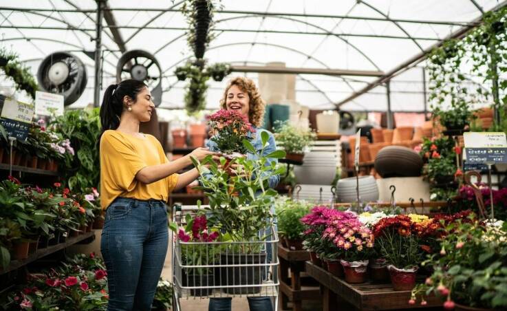 Szkółki drzew i krzewów: Jakie są korzyści z ich usług doradczych?