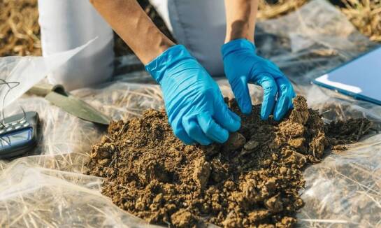 Czym są badania sozologiczne powierzchni ziemi?