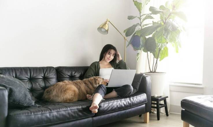 Rola konsultacji behawioralnych przed pobytem psa w hotelu