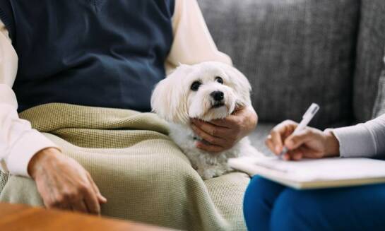 Znaczenie profesjonalnej opieki zoopsychologa dla komfortu i bezpieczeństwa zwierząt w hotelu
