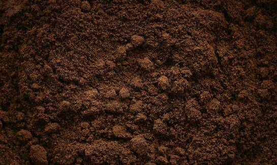 Jakie korzyści zdrowotne przynoszą suszone wytłoki z jabłek?