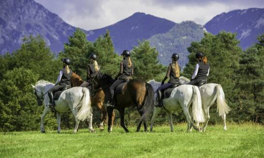 Jak przygotować się do kursu ujeżdżenia w naszym ośrodku?
