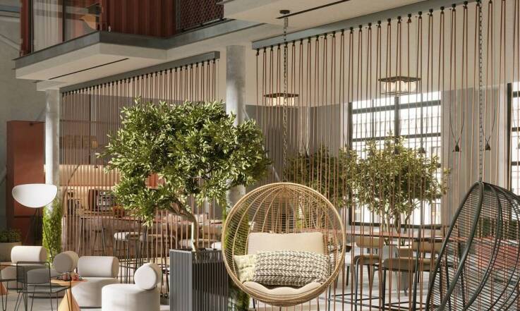 Zastosowanie katalpy szczepionej na pniu 200 cm w architekturze miejskiej