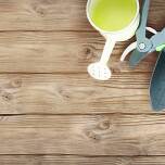 Efektywność prac ogrodowych dzięki profesjonalnemu sprzętowi z wypożyczalni