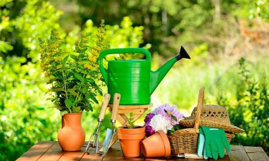 Zalety stosowania wysokiej jakości narzędzi ogrodniczych